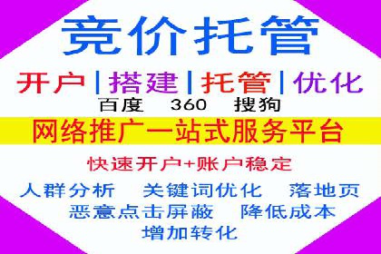谷歌竞价策略：如何避免广告欺诈